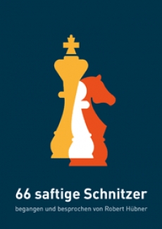 Robert Hübner - 66 saftige Schnitzer